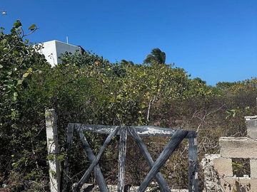 Venta Terreno Frente al mar en San Benito Yucatan