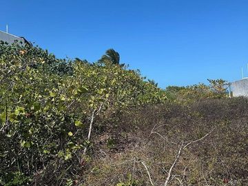 Venta Terreno Frente al mar en San Benito Yucatan