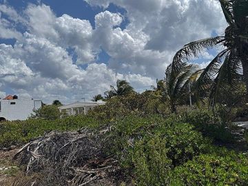 Venta Terreno Frente al mar en San Benito Yucatan