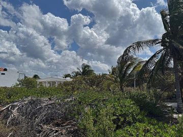 Venta Terreno Frente al mar en San Benito Yucatan