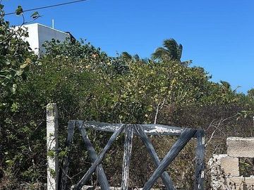 Venta Terreno Frente al mar en San Benito Yucatan