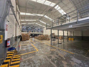 Bodega Industrial en Renta | Álamo Industrial