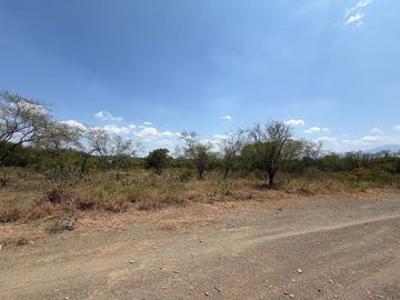 TERRENO CAMPESTE VENTA MONTEMORELOS NL