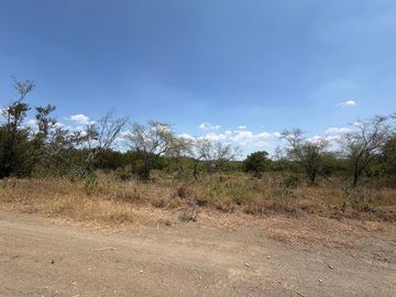 TERRENO CAMPESTE VENTA MONTEMORELOS NL