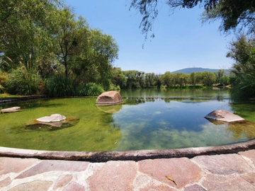 EL ENCINO RESIDENCIAL Y CLUB DE GOLF
