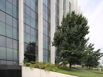 Renta oficina de 390m2 en edificio zona Valle San Pedro Garza García