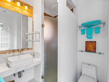 Casa en Venta con Historial de Airbnb en San Miguel de Allende | Inversión