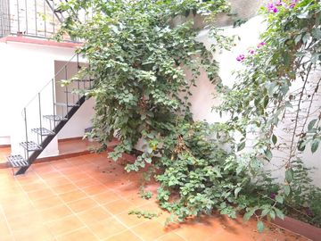Casa en Renta en Anzures