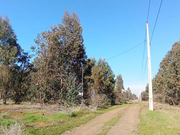 PARCELAS 5000 MT2 CHILLAN VIEJO ALTOS DE SAN RAFAEL