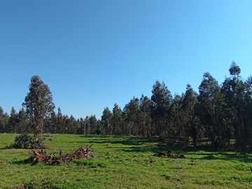 PARCELAS 5000 MT2 CHILLAN VIEJO ALTOS DE SAN RAFAEL
