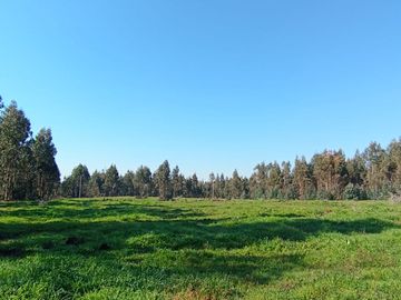 PARCELAS 5000 MT2 CHILLAN VIEJO ALTOS DE SAN RAFAEL