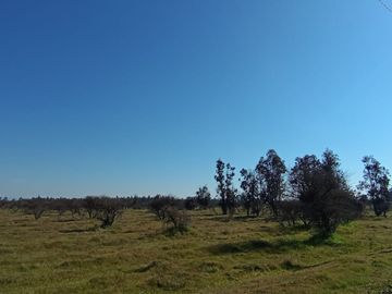 PARCELAS 5000 MT2 CHILLAN VIEJO ALTOS DE SAN RAFAEL
