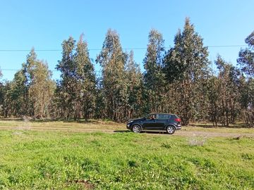 PARCELAS 5000 MT2 CHILLAN VIEJO ALTOS DE SAN RAFAEL