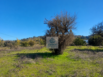 LIMACHE -VENTA DE PARCELA 5000 M2