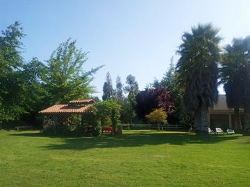 ENTRE PAINE Y BUIN