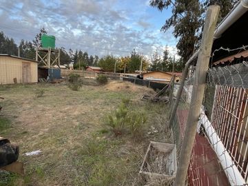 CAMINO AL TOTORAL, EL MEMBRILLO