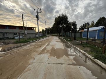CAMINO AL TOTORAL, EL MEMBRILLO