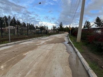 CAMINO AL TOTORAL, EL MEMBRILLO