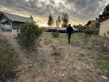 CAMINO AL TOTORAL, EL MEMBRILLO