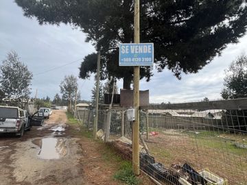 CAMINO AL TOTORAL, EL MEMBRILLO