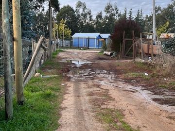 CAMINO AL TOTORAL, EL MEMBRILLO