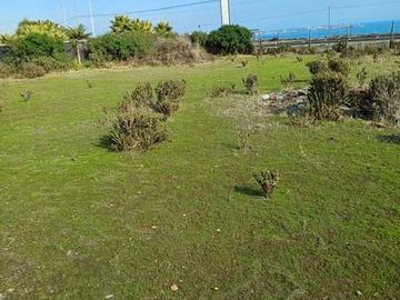 Parcela en venta  en LOS VILOS
