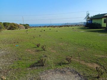 Parcela en venta  en LOS VILOS