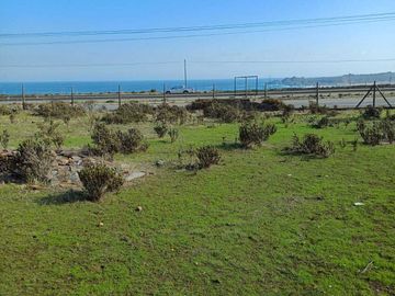 Parcela en venta  en LOS VILOS