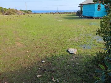 Parcela en venta  en LOS VILOS