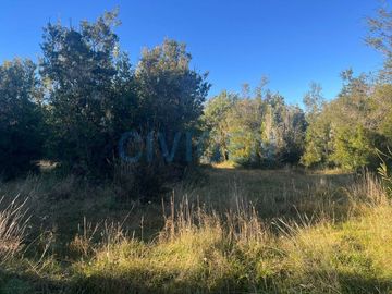 Parcela en venta  en CALBUCO