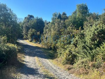 Parcela en venta  en CALBUCO