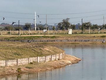 Lote Con Salida A La Laguna-damasia Al Sur Permuto