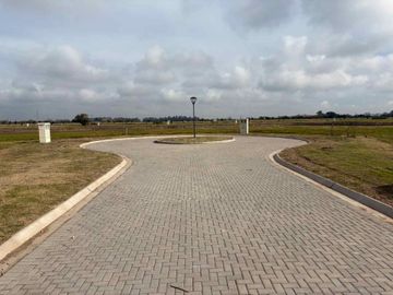 Lote Con Salida A La Laguna-damasia Al Sur Permuto