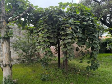 VENTA CASA 3 DORMITORIOS ALTA GRACIA