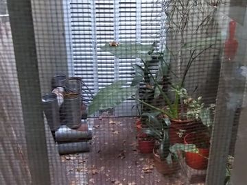 VENTA DEPÓSITO/LOCAL Y CASA 4 AMBIENTES