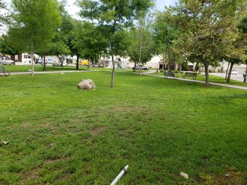 Terreno en Venta en Hacienda del Rosario, Torreón, Coahuila de Zaragoza