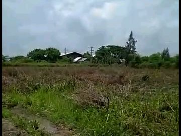 Tuban - Jawa Timur