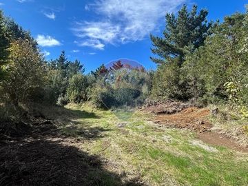Lagunitas, 5.000 m2 Reserva Lahuen Ñadi. P. Montt