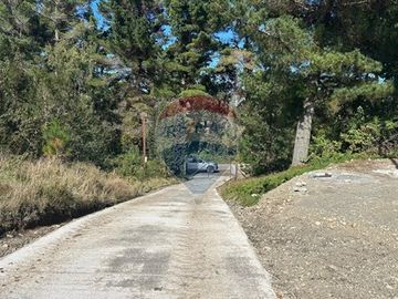 Lagunitas, 5.000 m2 Reserva Lahuen Ñadi. P. Montt