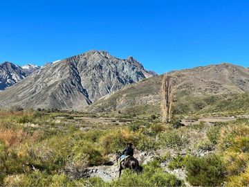 Fundo de 8.000 Ha en la Cordillera del Maule