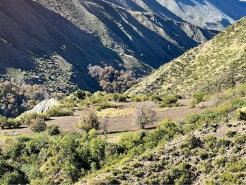 Fundo de 8.000 Ha en la Cordillera del Maule