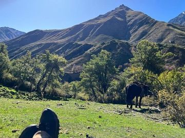 Fundo de 8.000 Ha en la Cordillera del Maule