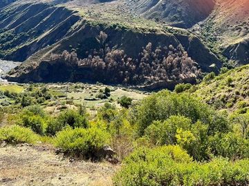 Fundo de 8.000 Ha en la Cordillera del Maule