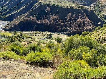 Fundo de 8.000 Ha en la Cordillera del Maule