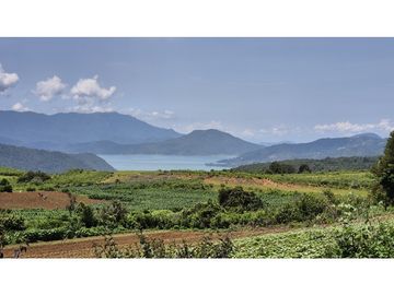 TERRENO EN VENTA | LAS MESAS | SAN FRANCISCO