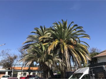 Excelente Terreno para Inmobiliarias y Comercial!!