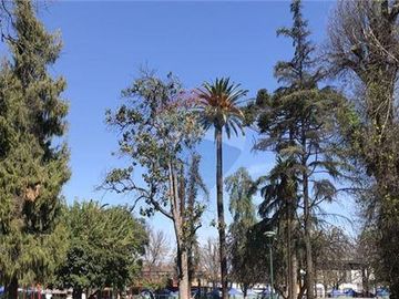 Excelente Terreno para Inmobiliarias y Comercial!!