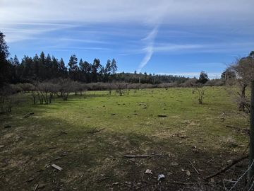 Vende terreno plano de 2 hectáreas en  Santo Domingo, San Enrique. Orilla de camino asfaltado.