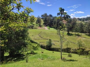 Finca en venta Marinilla 41.000 m2 hermosa panorámica RG