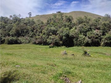 Finca en venta Marinilla 41.000 m2 hermosa panorámica RG